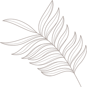 Déco feuille gauche